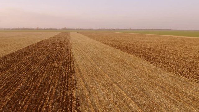 The endless fields after crop harvesting. Landscape of farmland after harvest. Agriculture industry. Countryside landscape.