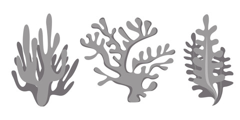 Underwater sea icon set. Coral, seaweed sketch graphic elements. Trendy coral reef under water collection. Cool hand drawing vector illustration isolated on white background