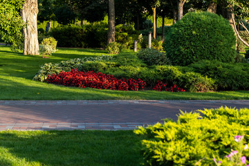 Plakat lawns and bushes along the path in landscape design