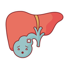 liver cartoon flat style icon vector design