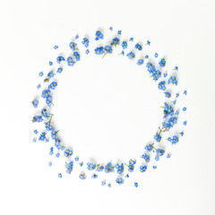 Macro Close Up of Adorable Tiny Blue Forget Me Not Flowers on White Background