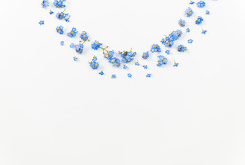 Macro Close Up of Adorable Tiny Blue Forget Me Not Flowers on White Background