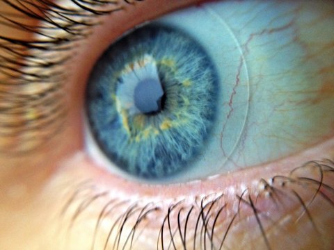 Extreme Close Up Of Human Eye