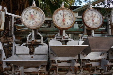 old rusty scales
