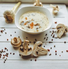 soup with mushrooms