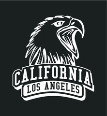 California college eagle print embroidery graphic design vector art