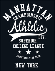 New york college style print embroidery graphic design vector art