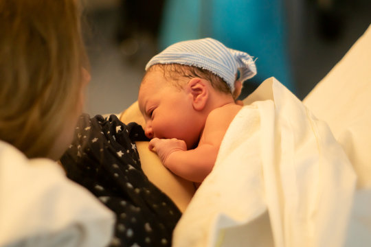 Newborn Baby Sucking Milk From Mothers Breast Just After Birth In Hospital. New Baby And Mother Hugging For The First Time During Skin To Skin Contact.