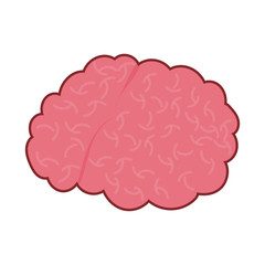 brain organ flat style icon vector design