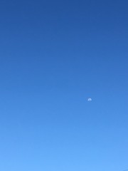 Luna Gibosa Menguante