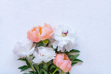 Fototapeta na wymiar White and pink peonies on white concrete backdrop, greetings card, mother day, wedding invitation, flower store concept. Space for text