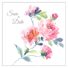 Watercolor flowers illustration