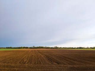 Fototapeta premium Brown soil of a cultivated field - agricultural background