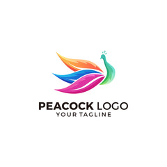 Peacock Logo Design Vector Illustration