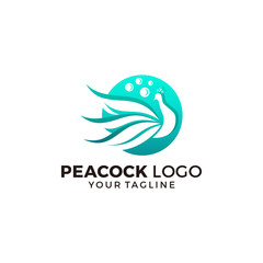 Peacock Logo Design Vector Illustration