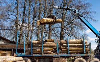 Loading, unloading wood. Logging and transportation. Transport logging and forest industry
