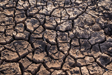 tierra seca por la sequía