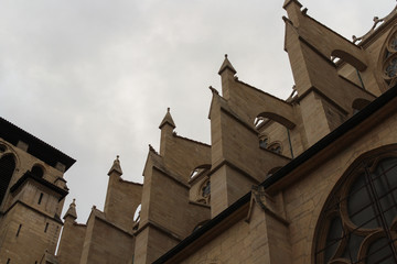 Fototapeta premium The Lyon Cathedral (Cathedrale Saint-Jean-Baptiste de Lyon), France. This roman Catholic church is dedicated to Saint John the Baptist. Details of the Gothic cathedral.