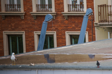 Fototapeta na wymiar Seagull on top of building during coronavirus pandemic. Barcelona