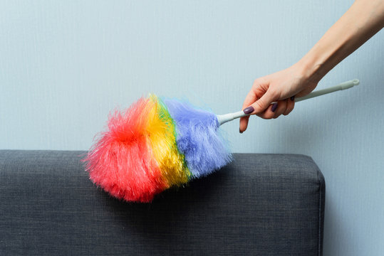 A woman wipes the dust on the back of the sofa. Dry cleaning in the spring