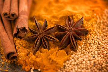Different spices. Cinnamon sticks, star anise, mustard seeds and turmeric powder. Macro