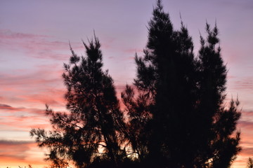 Fototapeta na wymiar Nature sunsets