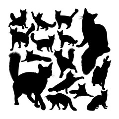 Orange somali cat animal silhouettes. Good use for symbol, logo, web icon, mascot, sign, or any design you want.