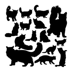 Maine coon cat animal silhouettes. Good use for symbol, logo, web icon, mascot, sign, or any design you want.