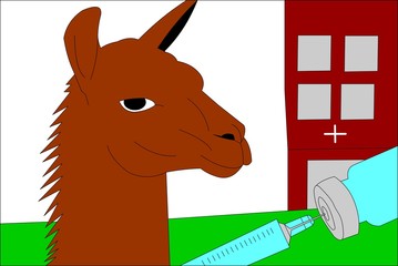 Llama antibodies for corona disease vaccine
