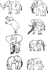 Asian elephants print embroidery graphic design vector art