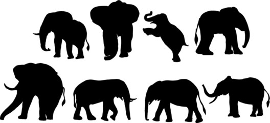 Asian elephants print embroidery graphic design vector art
