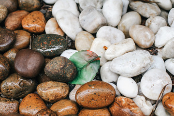 Top-view of white and brown stone texture background in garden that has been eroded by the river.Spring garden in morning sunlight. Decorative ground pr path of gravel rocks with green leave.