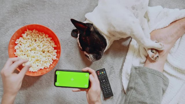 Можно собакам попкорн. Можно ли собакам попкорн. a dog with a popcorn.