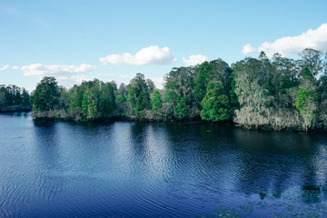 Hillsborough river at Tampa, Florida	