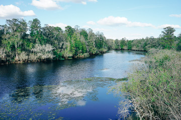 Hillsborough river at Tampa, Florida	