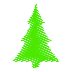 Green evergreen tree, perfect for Christmas celebrations