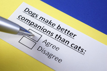 Obraz premium Dog make better companions than cats: Agree or disagree?