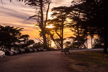 Fototapeta na wymiar Lonely bench in Land's End woods at sunset, San Francisco, California