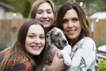 Gray Great Dane Puppy Dog with Mom and two girls - obrazy, fototapety, plakaty