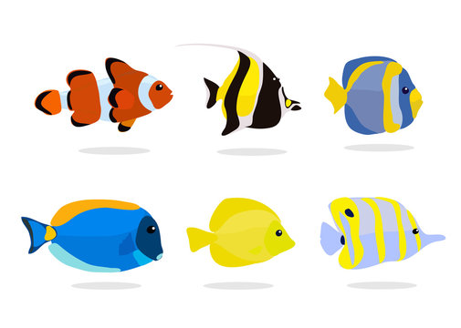 vector collection of Tropical fishes coral reef for aquarium, colorful ocean fish vector