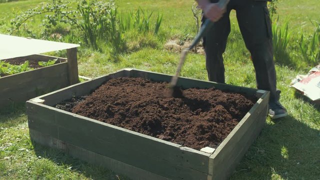 Leveling compost with shovel in raised garden bed
