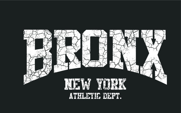 Bronx print embroidery graphic design vector art