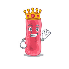 A Wise King of shigella sonnei mascot design style