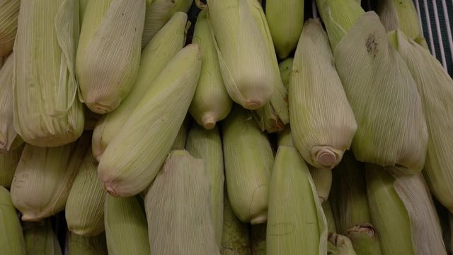 Elotes con su hoja. Paneo hacia arriba a una velocidad lenta.