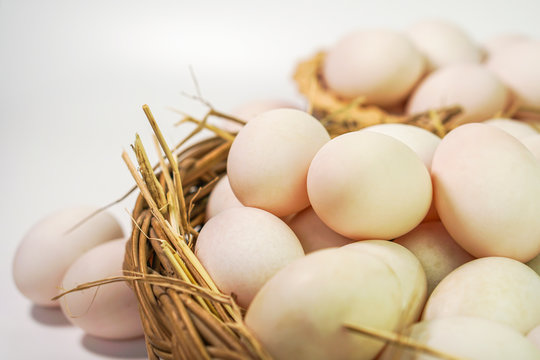 Duck eggs, high protein food has health benefits.