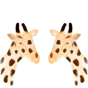 giraffes hand drawnd portrait illustration 