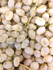 Photo many many grapes supermarket shelves