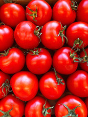 Photo many many tomatoes on the counter supermarket