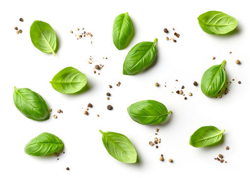 flat lay composition of basil leaves