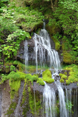 Fototapeta na wymiar 滝と緑の風景